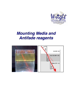 Mounting Medium