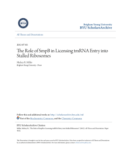 The Role of SmpB in Licensing tmRNA Entry into Stalled Ribosomes