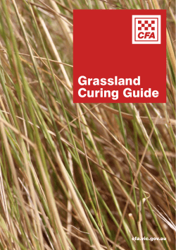 Grassland Curing Guide - Country Fire Authority