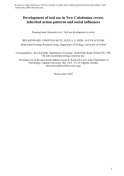 Development of tool use in New Caledonian crows