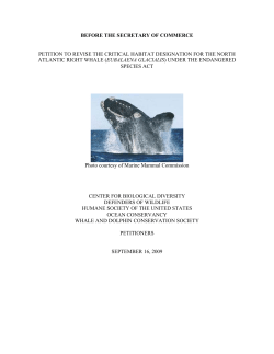 North Atlantic right whale &ndash; Petition to revise critical habitat