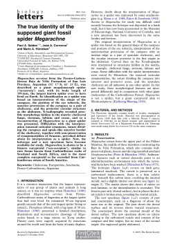 The true identity of the supposed giant fossil spider Megarachne