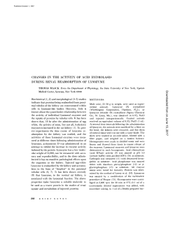 changes in the activity of acid hydrolases during renal reabsorption