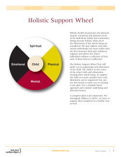 Holistic Support Wheel - Best Start Resource Centre