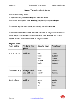 Nouns: The rules about plurals Nouns are naming words. They