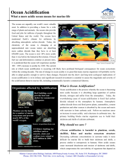 Ocean Acidification - Marine Conservation Biology Institute