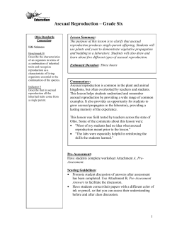 Asexual Reproduction &ndash; Grade Six