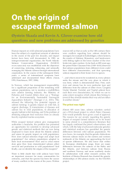 On the origin of escaped farmed salmon