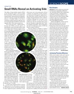 Small RNAs Reveal an Activating Side