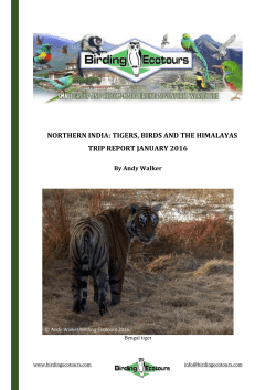 northern india: tigers, birds and the himalayas trip report january 2016