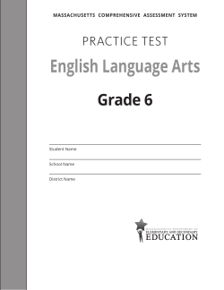 Paper-Based Practice Test