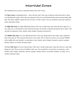 Intertidal Zones - Exploring Nature
