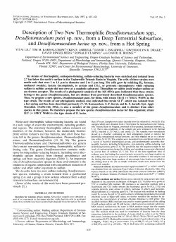 Description of Two New Thermophilic Desuvotomaculum spp