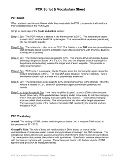 PCR Script and Vocabulary Sheet