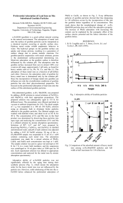 Preferential Adsorption of Lead Ions on Mn