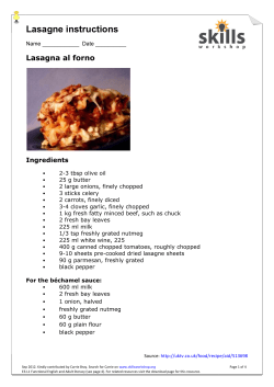 E3-L1 Lasagne reading instructions