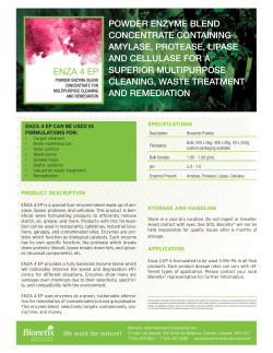 powder enzyme blend concentrate containing amylase, protease