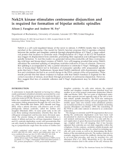 Nek2A kinase stimulates centrosome disjunction and is required for