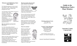 Muhlenberg Meadow - Lancaster County Government