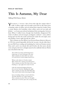 an essay by Philip Metres