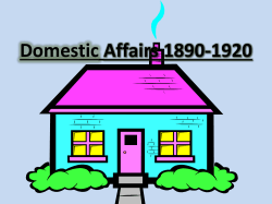 Domestic Affairs 1890-1920