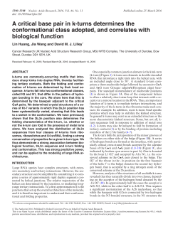 A critical base pair in k-turns determines the conformational class