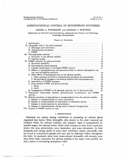 Mammals are unique among vertebrates in possessing an adrenal