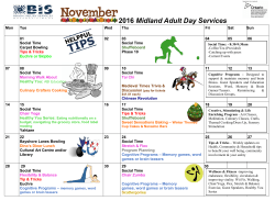 January 2008 - Brain Injury Services