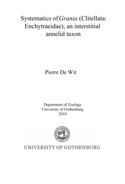 Systematics of Grania (Clitellata: Enchytraeidae), an
