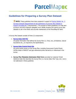 Guidelines for Preparing a Survey Plan Dataset