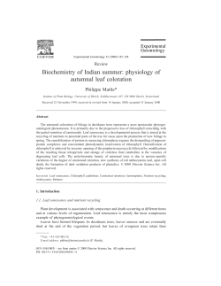 Biochemistry of Indian summer: physiology of