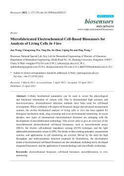 Microfabricated Electrochemical Cell