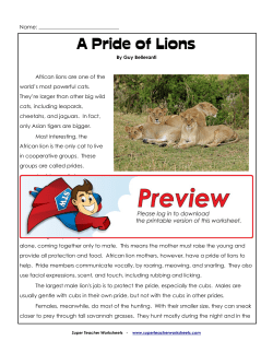 A Pride of Lions - superteacherworksheets.com