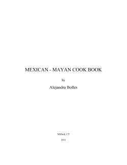 mexican - mayan cook book