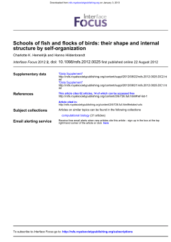 structure by self-organization Schools of fish and flocks of birds: their