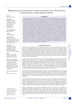 MORPHOLOGICAL EVALUATION OF GENETIC EVIDENCE FOR A