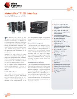 Metrobility&reg; T1/E1 Interface