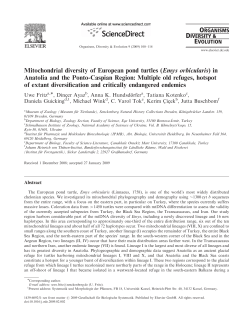 Mitochondrial diversity of European pond turtles (Emys orbicularis