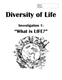 Diversity of Life Investigation 1 Packet