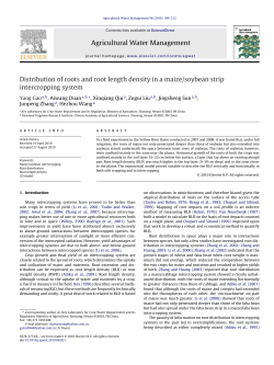 Distribution of roots and root length density in a maize/soybean strip