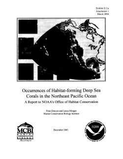 Occurrences of Habitat-forming Deep Sea Corals in the Northeast