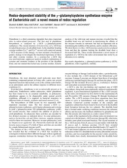 Redox-dependent stability of the γ