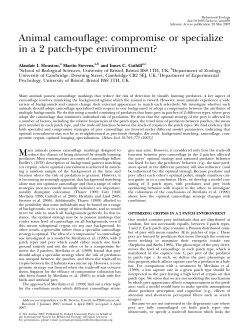 Animal camouflage: compromise or specialize in