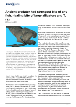 Ancient predator had strongest bite of any fish, rivaling