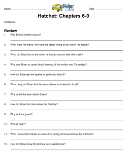 Hatchet: Chapters 6-9