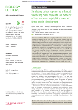 Simulating carbon capture by enhanced weathering with croplands