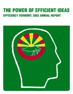 2002 Annual Report Executive Summary