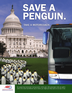 Save a Penguin, Take a Motorcoach
