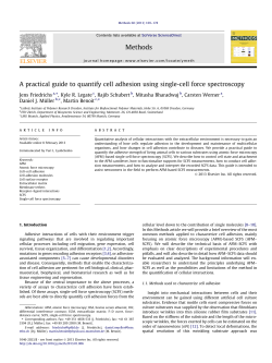 A practical guide to quantify cell adhesion using single