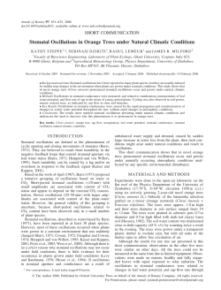 Stomatal Oscillations in Orange Trees under